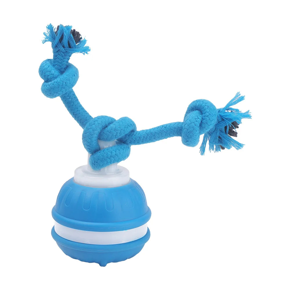 Cat & Dog Interactive Rolling Ball Toy – Rechargeable Smart Pet Toy