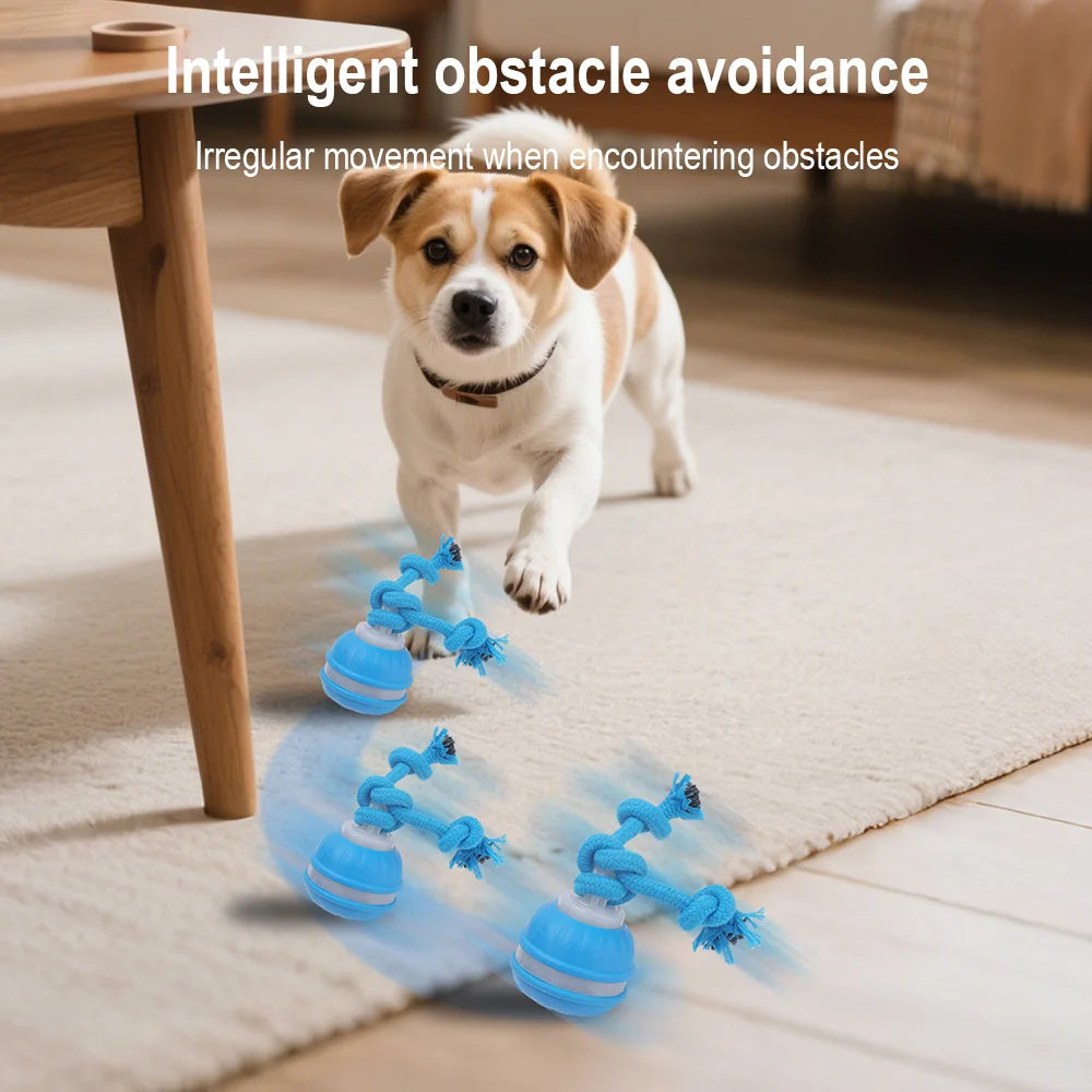 Cat & Dog Interactive Rolling Ball Toy – Rechargeable Smart Pet Toy