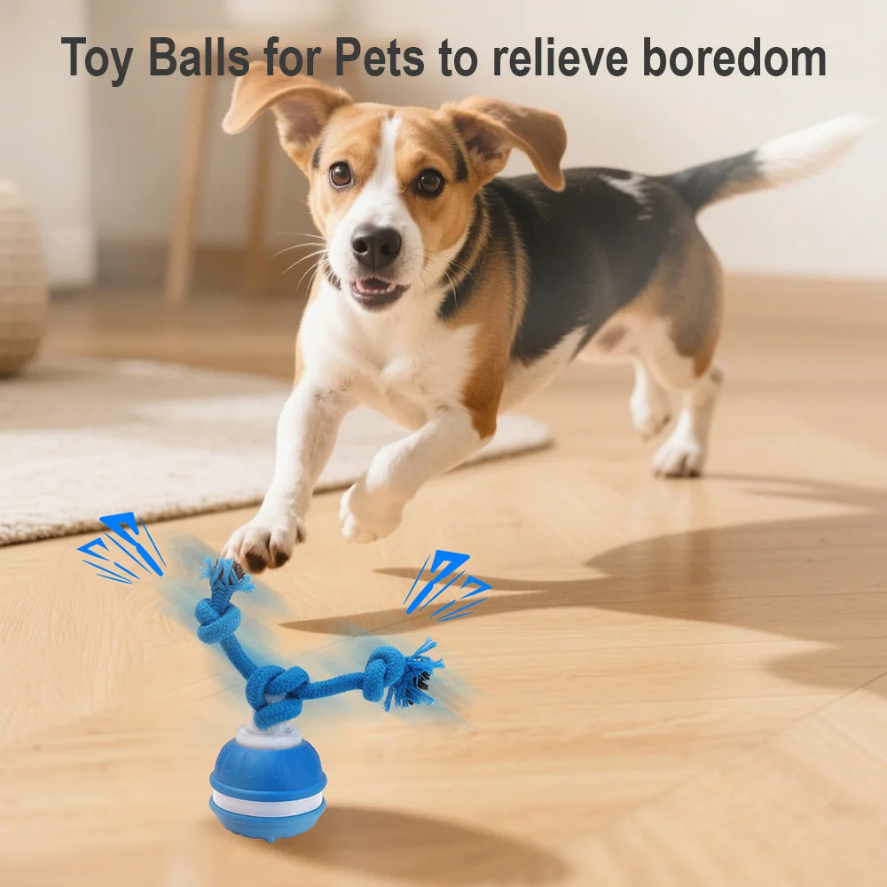 Cat & Dog Interactive Rolling Ball Toy – Rechargeable Smart Pet Toy