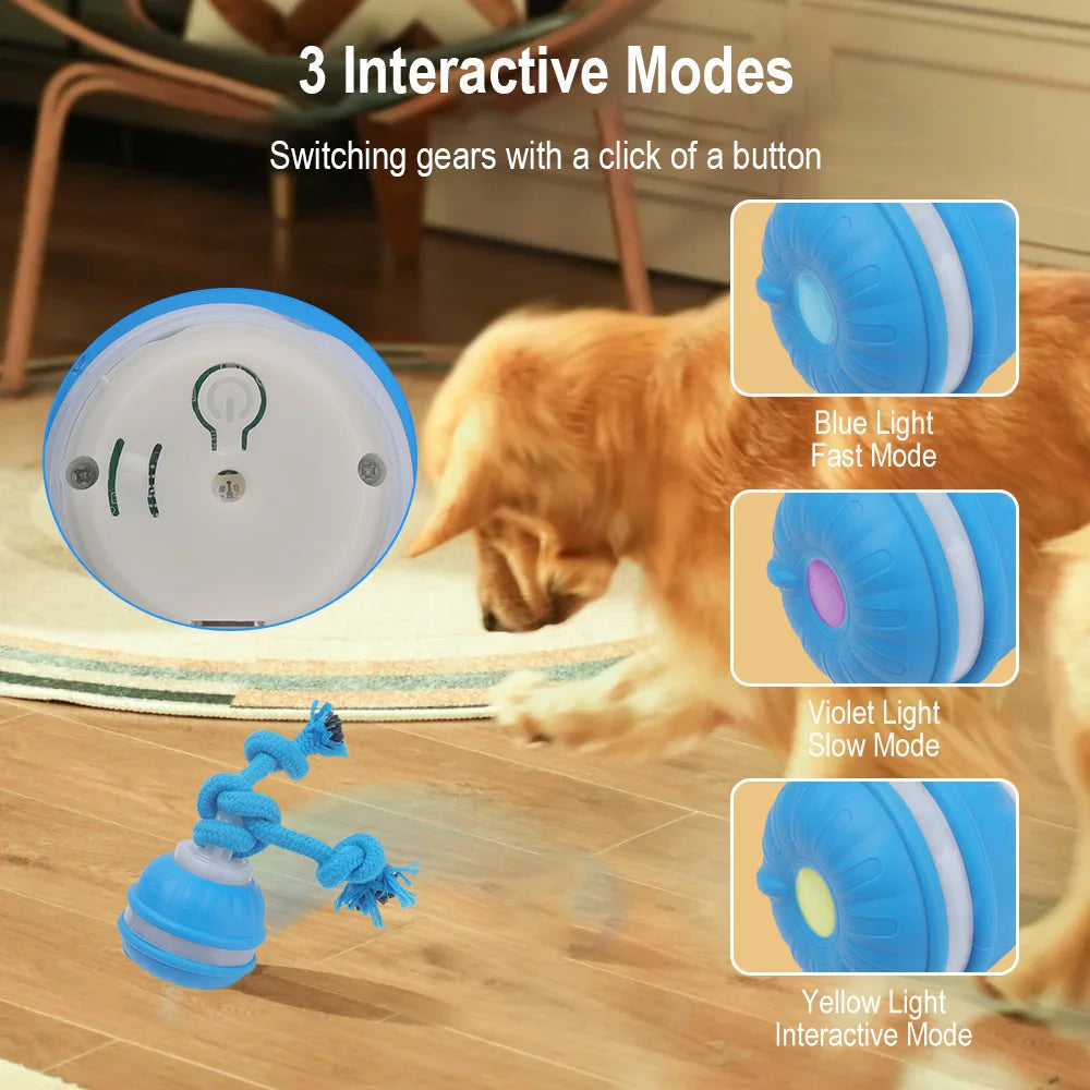 Cat & Dog Interactive Rolling Ball Toy – Rechargeable Smart Pet Toy
