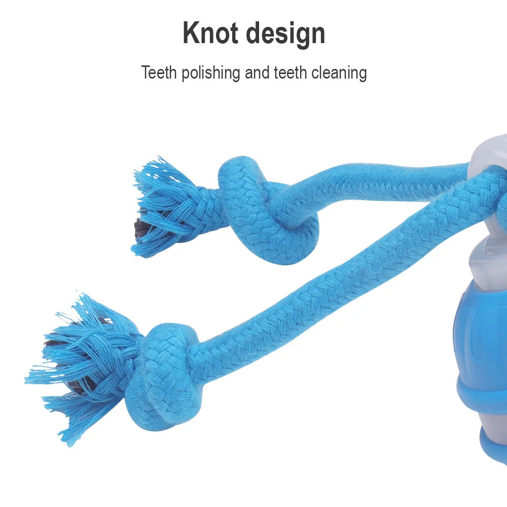 Cat & Dog Interactive Rolling Ball Toy – Rechargeable Smart Pet Toy